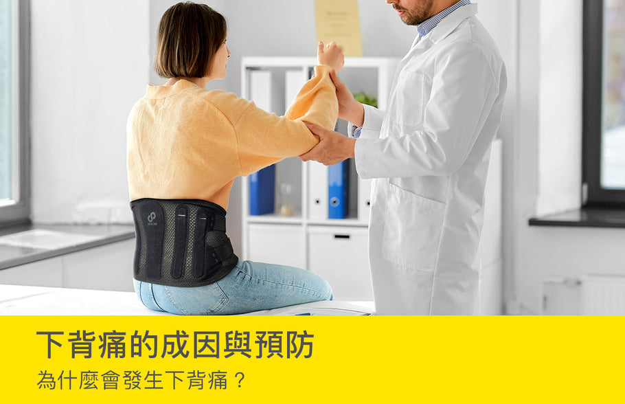 下背痛的成因與預防